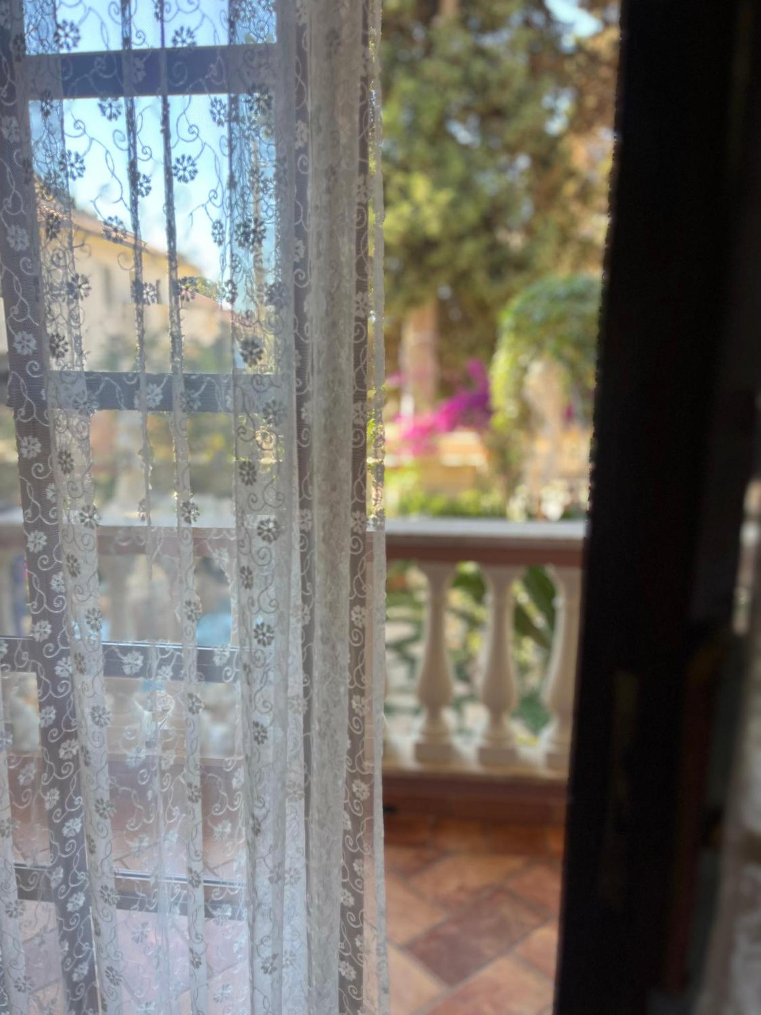 B&B Villa Regina Santa Domenica  Exterior photo