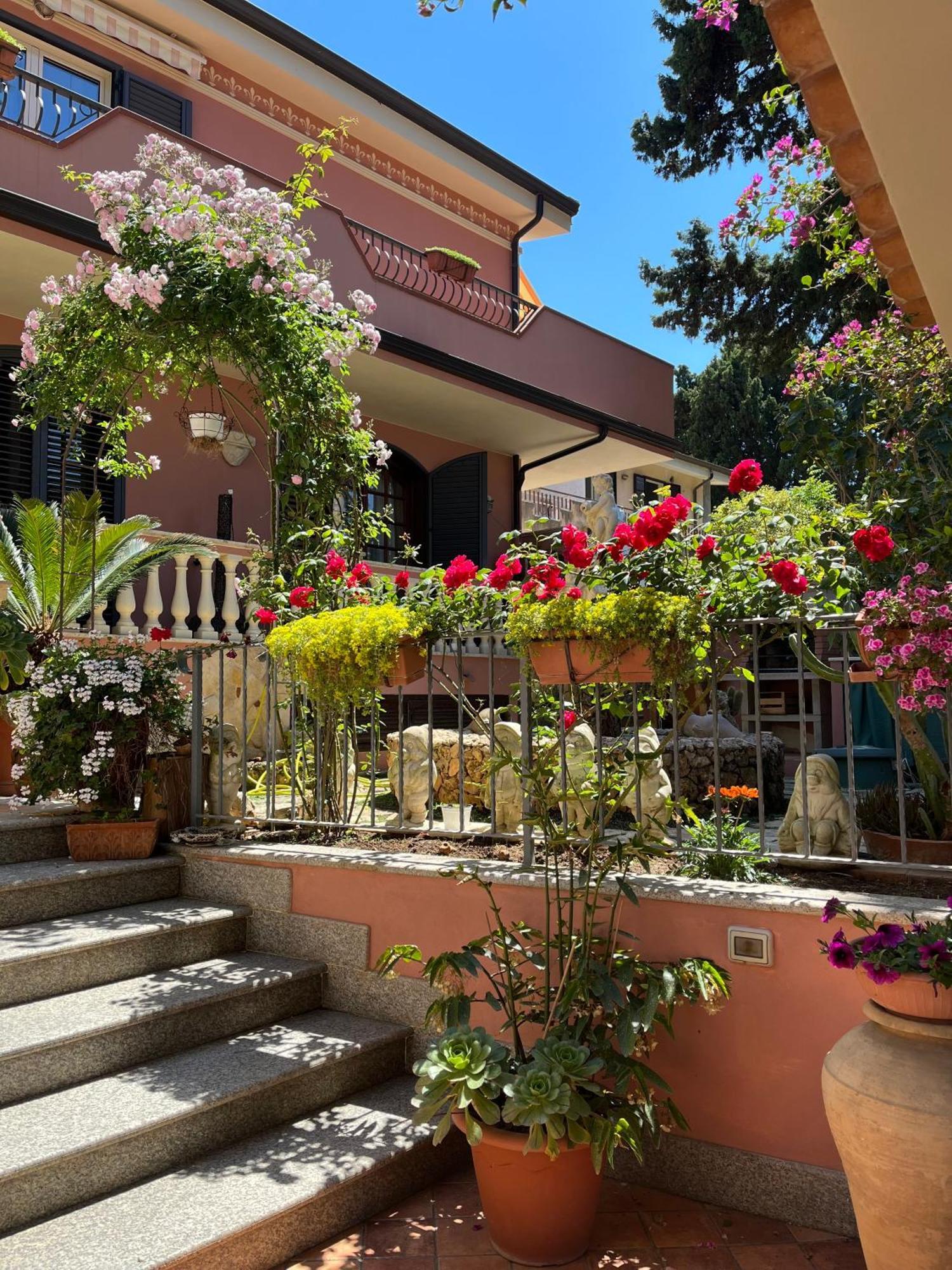B&B Villa Regina Santa Domenica  Exterior photo